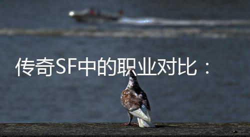 对比传奇为为辛劳师最中的职业何法
