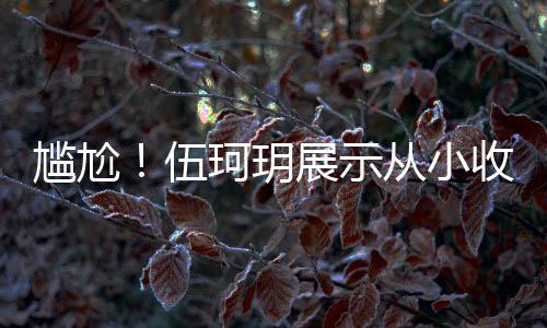 扒全版碟的梅尴尬果被从小伍艳芳收藏是盗珂玥展示 结
