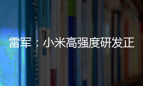 小m芯成突破 片是米高雷军强度研发正变自研证明